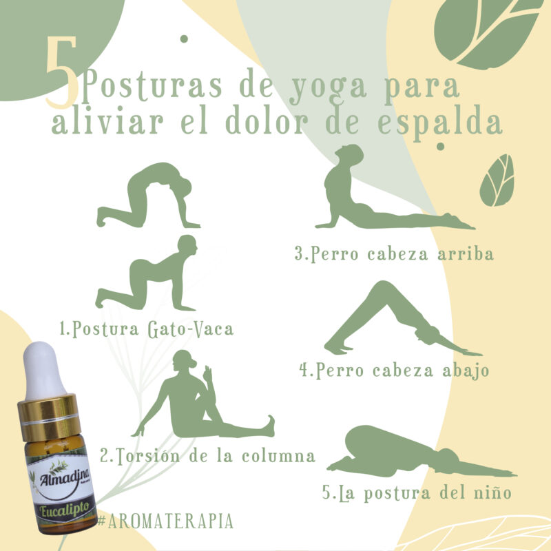 Postura de Yoga para aliviar el dolor de Espalda + aceite de eucalipto